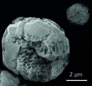 Nanoporous Si particle