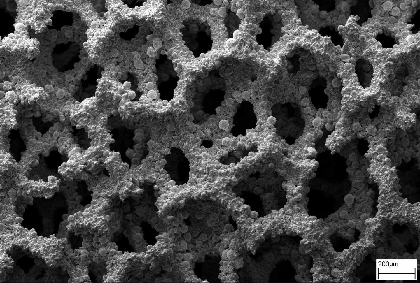 Rasterelektronenmikroskopische Aufnahme eines offenzelligen Metallschaums. Rasterelektronenmikroskopische Aufnahme eines offenzelligen Metallschaums.