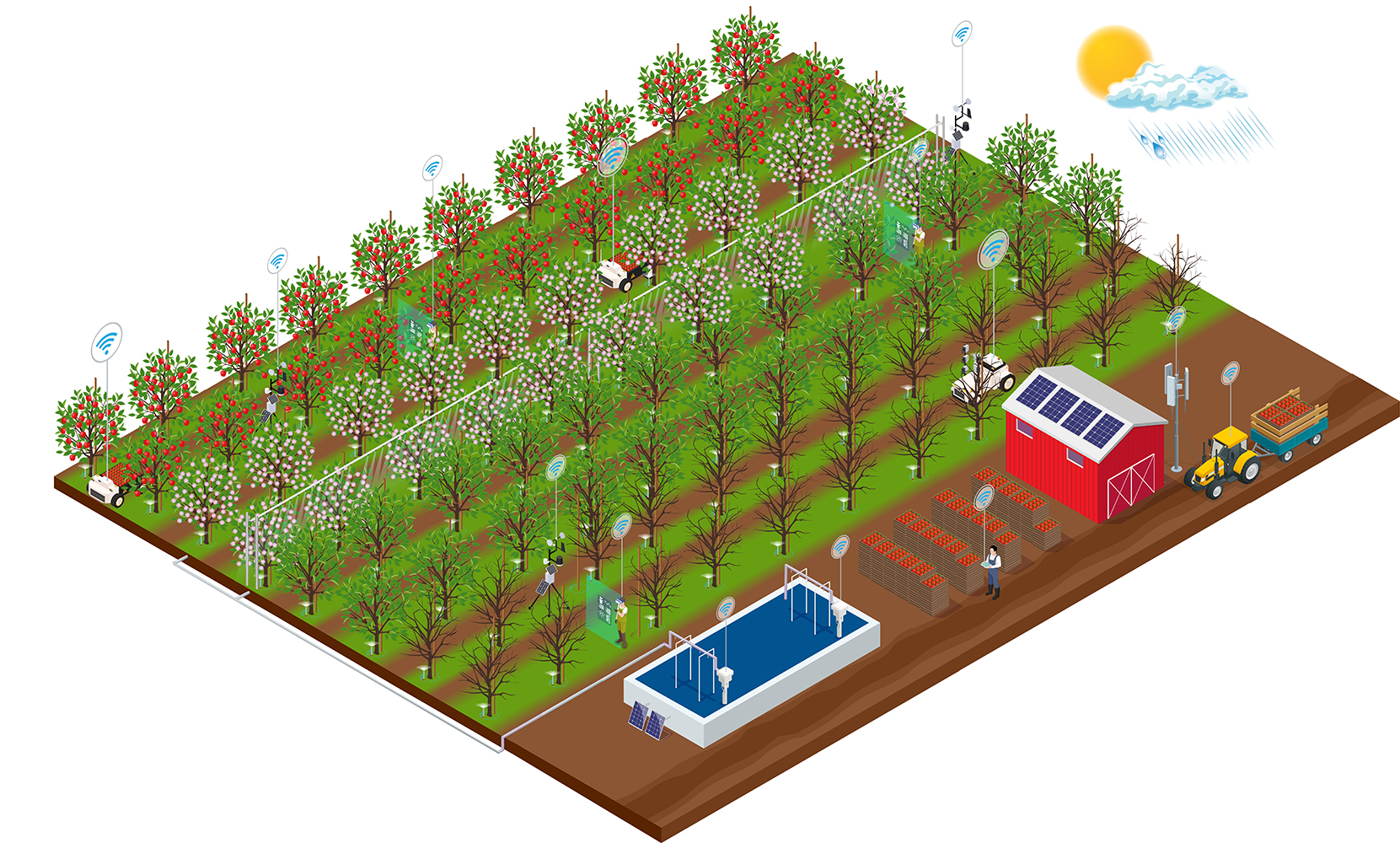 Konzeptdarstellung des Obstbau-Zukunftsbetriebs im Alten Land – Digitale Vernetzung, autonome Maschinen und KI-basierte Auswertealgorithmen werden auf dem Experimentierfeld im Projekt SAMSON erforscht.