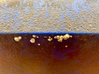 Schiffsrumpf Biofouling