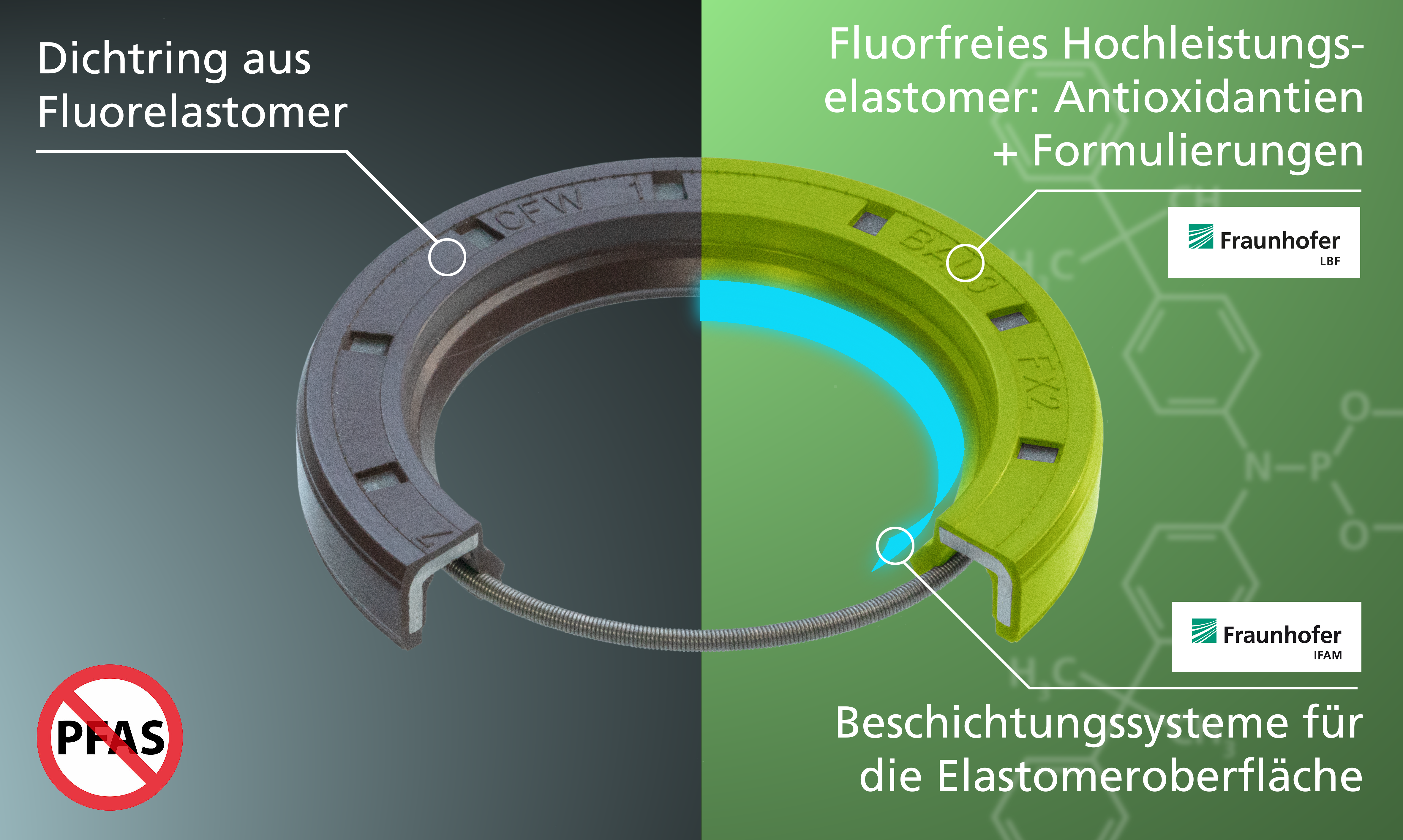 Ein handelsüblicher Fluor-Elastomer-Dichtring könnte zukünftig aus einem fluorfreien Hochleistungs-Elastomer mit angepassten Antioxidantien, Formulierungen und einer speziell dafür entwickelten Beschichtung bestehen. 