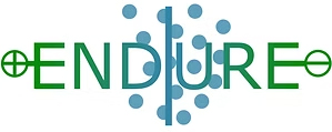 Logo Project ENDURE