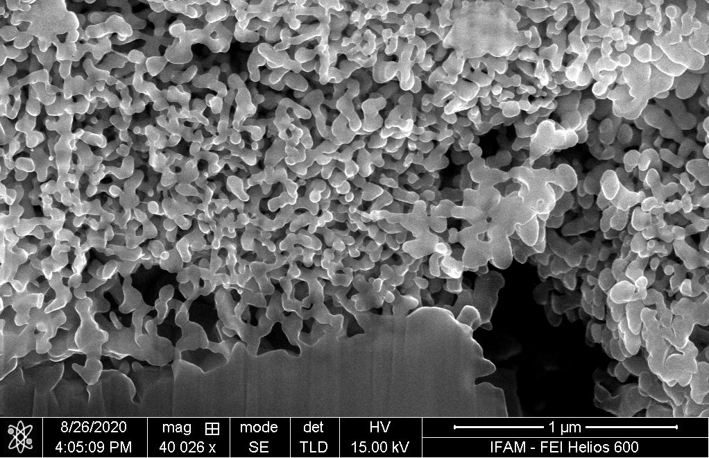 nanoporöse Metallstruktur, hergestellt mittels Auslaugen einer Titanaluminid-Legierung
