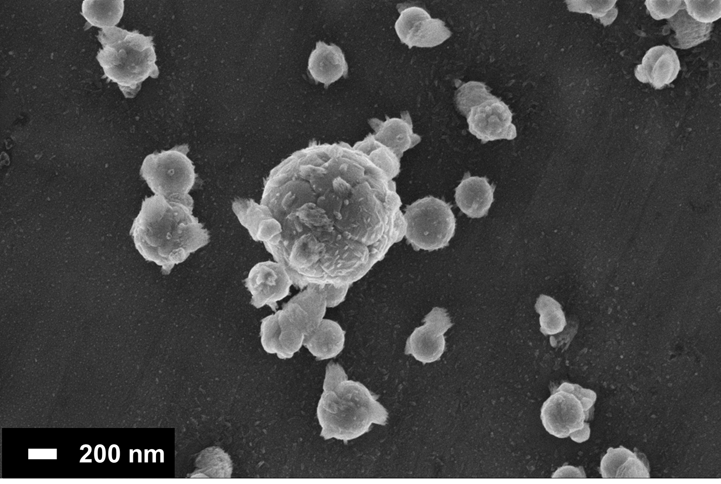 Rasterelektronenmikroskopische (REM) Aufnahmen der mittels Atmosphärendruck-Plasmatechnik erzeugten Silber-Nanopartikel