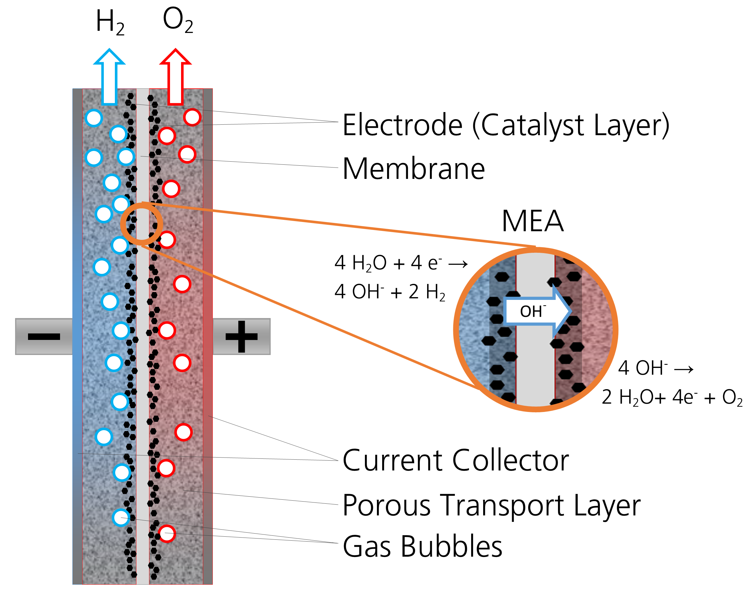 Diagram of an AEM electrolysis cell
