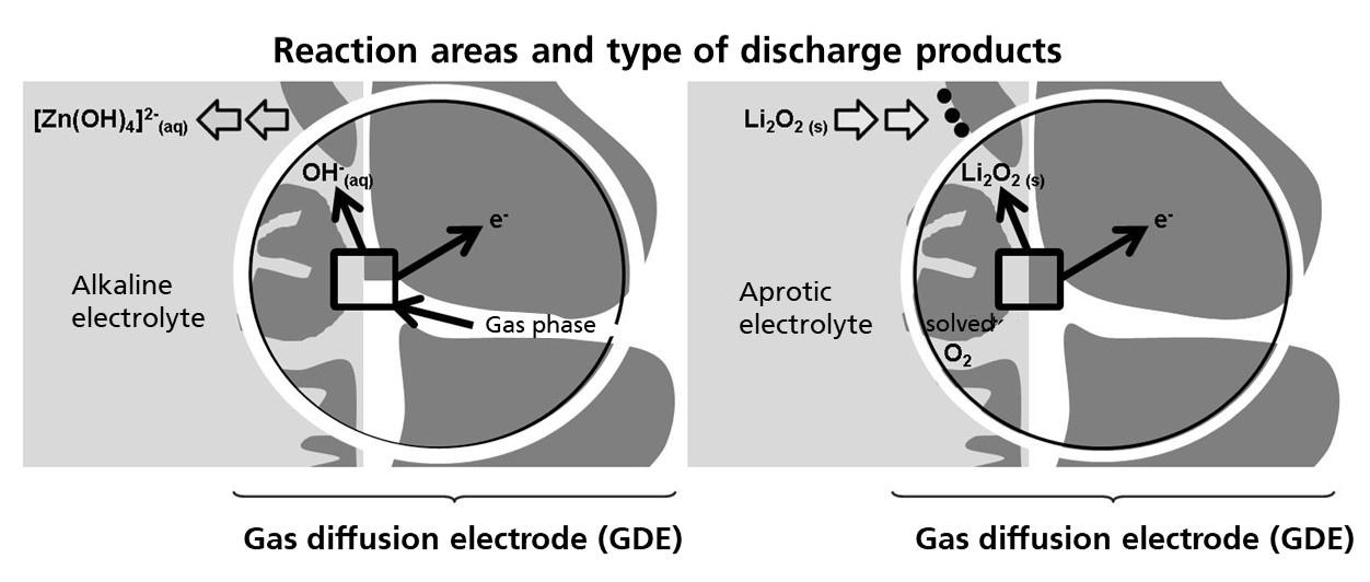 Schematic diagram to distinguish the reaction zones at the GDE, Alkaline electrolyte: 3-phase boundary or Aprotic electrolyte: 2-phase boundary.