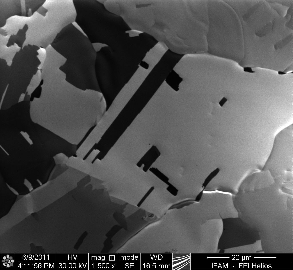 Austenitic microstructure