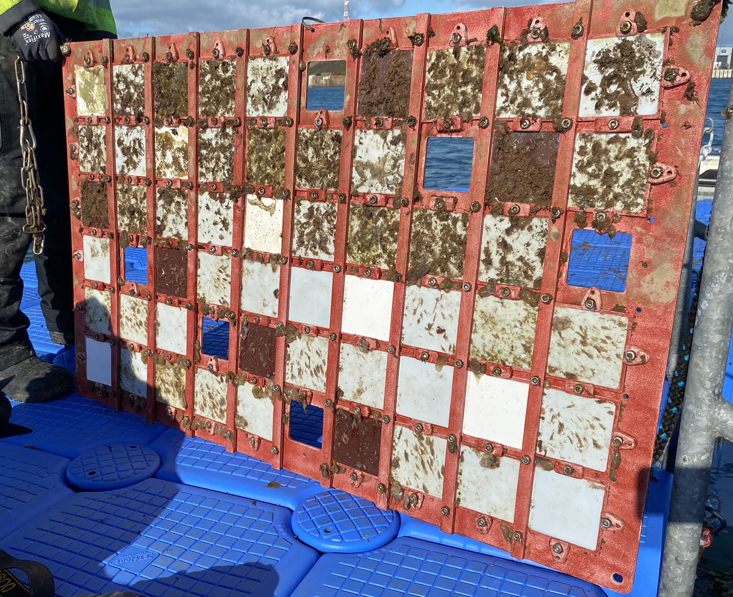 Testing of experimental antifouling coatings Testing of experimental antifouling coatings